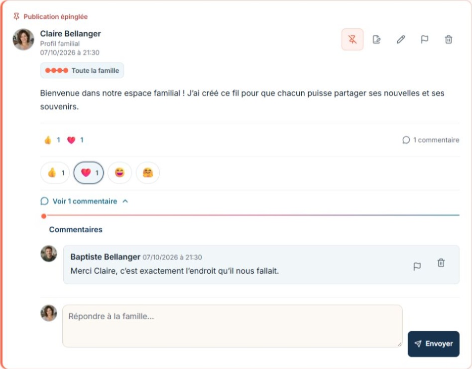 Détail d’une publication fictive de Claire Bellanger : audience Toute la famille, réactions et commentaire de Baptiste